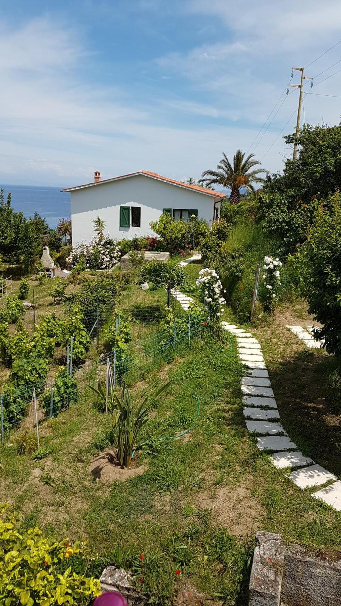 Hotel Gallo Nero SantʼAndrea Extérieur photo
